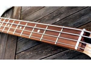 Fender Mustang Bass PJ PF (75470)