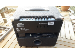 Ampeg BA-112 (21365)