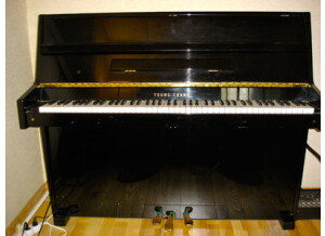 Gaveau Piano Droit (56111)