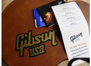 Gibson Les Paul Classic Antique (35447)