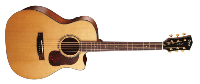 Gold A6 large Gold A6 large