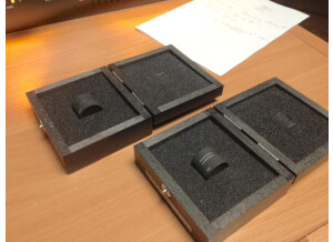 Crane Song Ibis (95698)