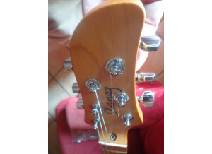 Ibanez TM1730 & TM1730M (44704)