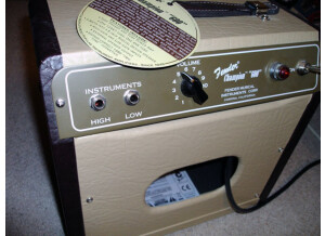 Fender Champion 600