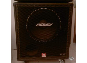 Pictures And Images Peavey Combo 210tx