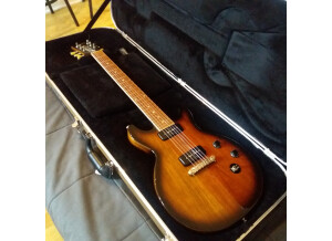 Gibson Les Paul Special Double Cut 2015 (35791)