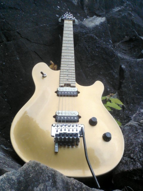 Peavey EVH Wolfgang