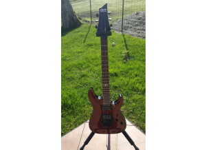 Schecter Damien Special (68390)