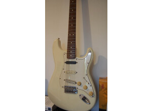 Fender Stratocaster Tex-Mex (11208)