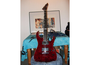 ESP Standard Series - Horizon - NT II