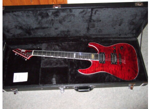ESP Standard Series - Horizon - NT II