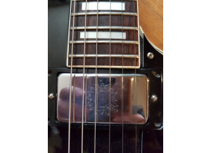 Ryan Guitars Copie Les Paul (8711)