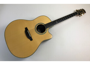 Ovation 2005 ES Collector's Series (3851)