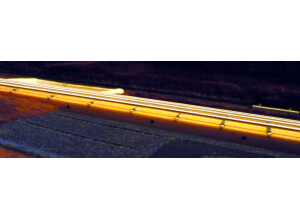 Peavey T 40 (39668)