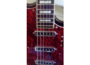 Schecter Hellcat (59147)