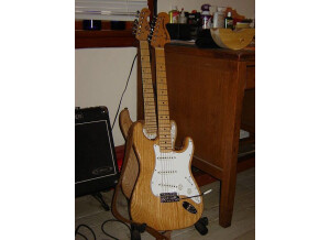 Fender Classic '70s Stratocaster (42852)