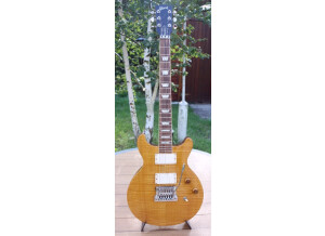 Gibson Les Paul Standard DC Lite (99140)