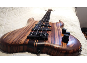 luthier pendennis fretless 4 zebrano 1714002