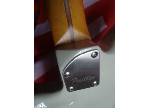 Ibanez TM1730 & TM1730M (60372)