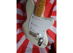 Ibanez TM1730 & TM1730M (76532)