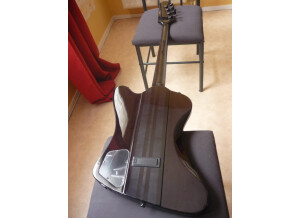 Epiphone Thunderbird Pro IV