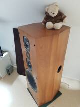 JMlab Ovation 810