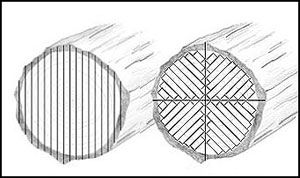 Fender Eric Johnson Stratocaster Maple