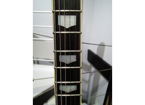 Westone Rainbow II (68374)