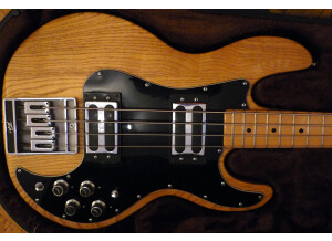 Peavey T 40 (46934)