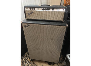Fender Bassman 100 (Silverface) (25614)