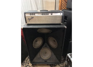 Fender Bassman 100 (Silverface) (8466)