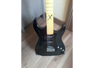 Washburn X33 (11319)