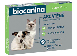 ascatene380x307