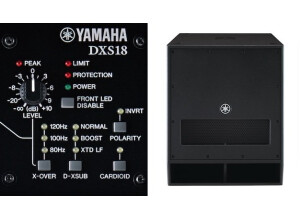 Yamaha DXS18 (95919)