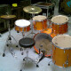 ELX 5 Shells Fusion 22" ELX 5 Shells Fusion 22"
