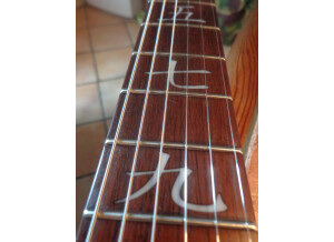 Cort MBC1 Matthew Bellamy Signature (12739)