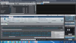 Steinberg WaveLab Elements 9