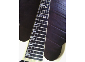 Schecter Blackjack SLS C-1 FR A (23233)