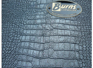 Burns Guitars Anniversaire 2004 Hank Marvin