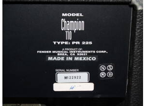 Fender Champion 110 (13276)
