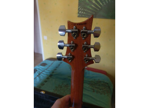 PRS CUSTOM 24 TRAMPAS GREEN 2017 (64354)