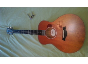 Taylor GS Mini (Mahogany Top) (76089)
