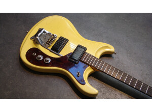 Mosrite the Ventures (36637)