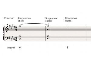 Harmonic Suspension 2