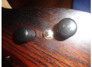 Ibanez RGDIX6MRW (7900)