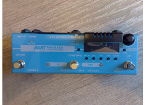 Amt Electronics Pangaea CP-100FX (51706)