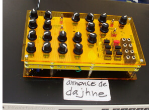 Mutable Instruments Anushri (15340)