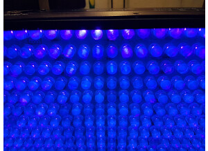 Ibiza Light LED-UVBAR (32729)