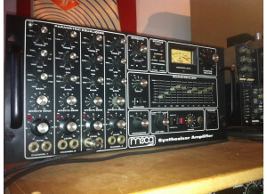 Moog Music AX 301 Synthesizer Amplifier