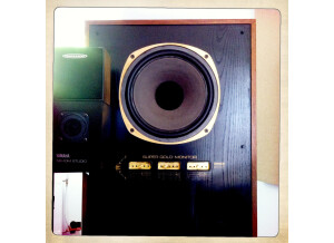Tannoy Monitor Gold (14388)